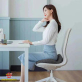 بالِشتِ طِبی کَمَر شیائومی مدل Xiaomi Leravan LJ-SE002-MGY