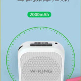 رکوردر صدا و اسپیکر بلوتوثی دبلیو کینگ W-KING KS02 Voice Amplifier