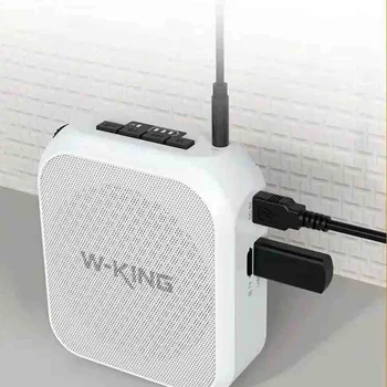 رکوردر صدا و اسپیکر بلوتوثی دبلیو کینگ W-KING KS02 Voice Amplifier